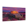 Lavender Fields
