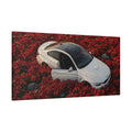 Poppies
